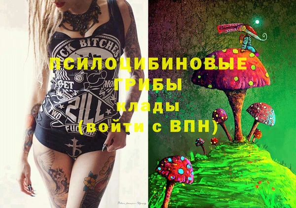 индика Алексин