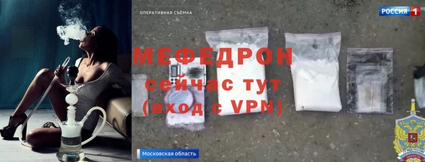 индика Алексин