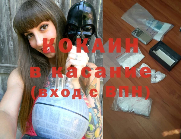 индика Алексин