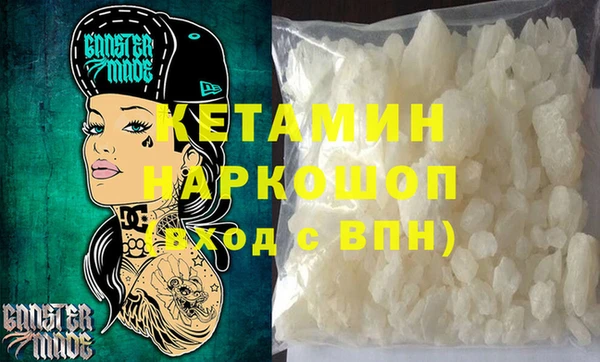 индика Алексин