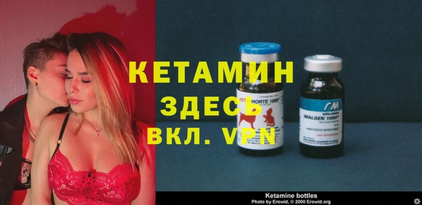 индика Алексин