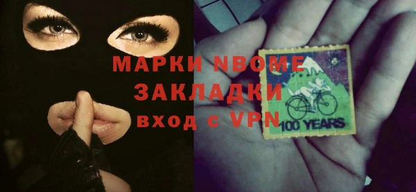индика Алексин