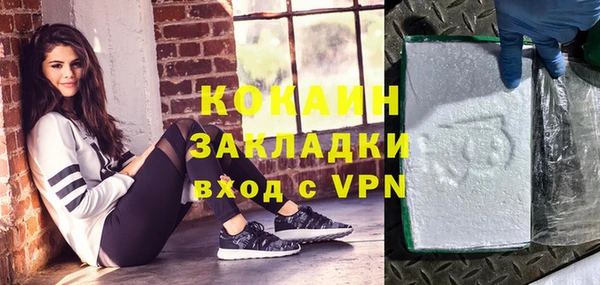индика Алексин