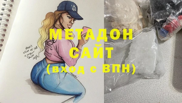 индика Алексин