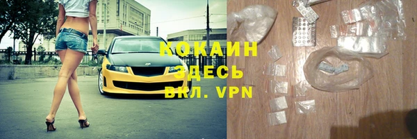 индика Алексин