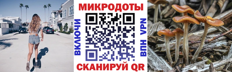 дарнет шоп  Бикин  Галлюциногенные грибы ЛСД 